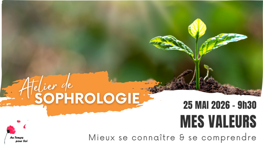 Stage - Mes valeurs & ma congruence
